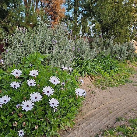 Gowrie Agapanthus Leilighet Singleton Eksteriør bilde